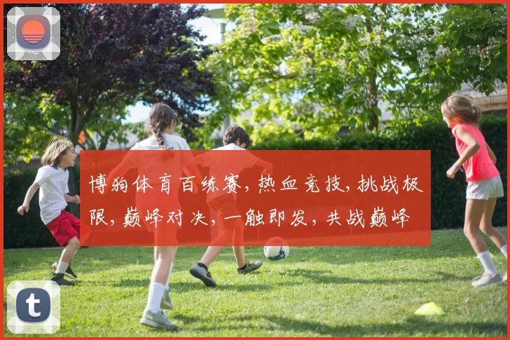 博狗体育百练赛,热血竞技,挑战极限,巅峰对决,一触即发,共战巅峰